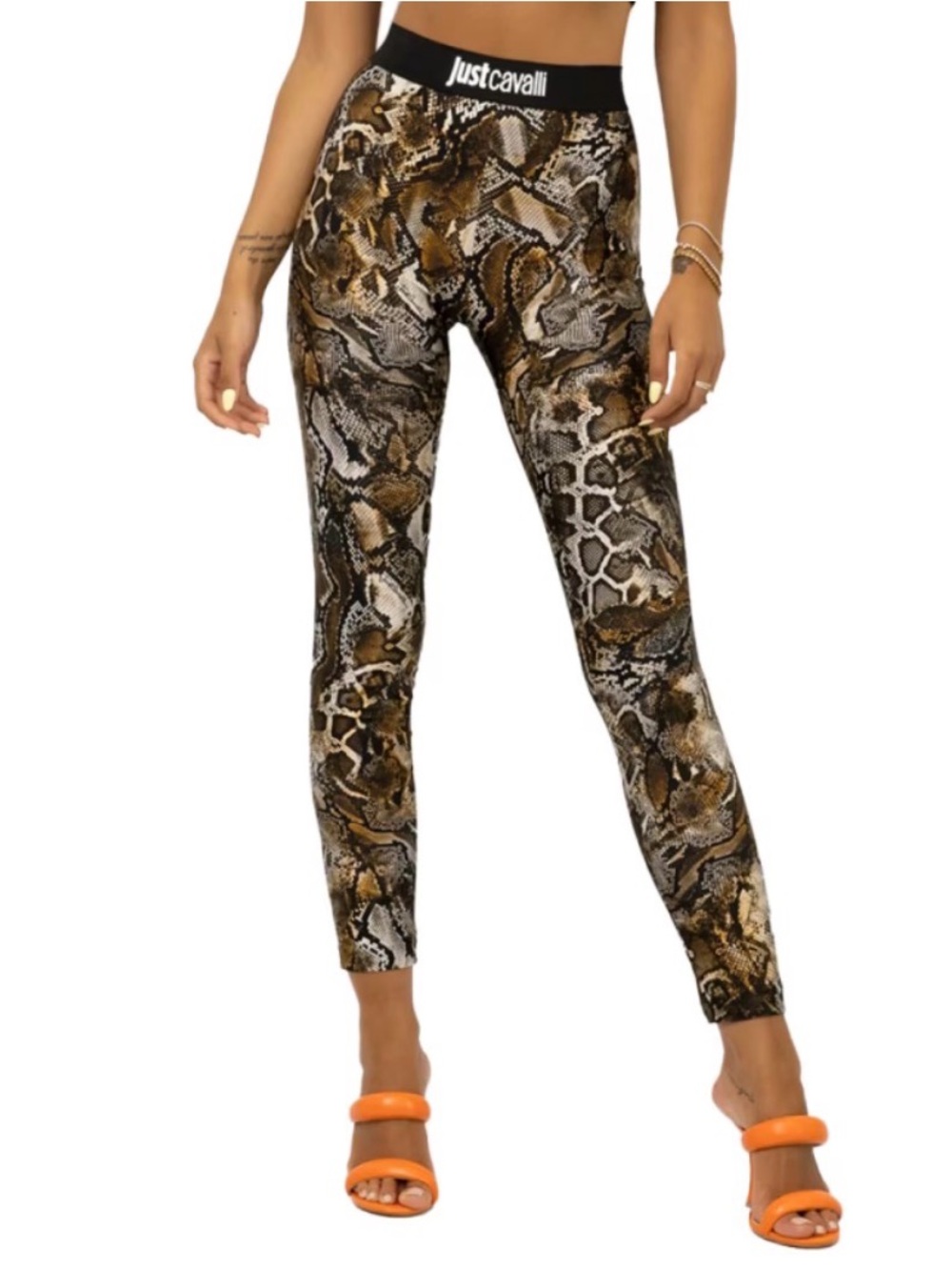 Roberto Cavalli Gym Rare Snake Print Leggings